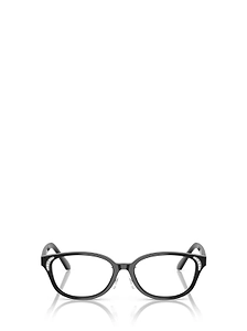 Swarovski Square Frame Glasses