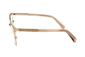 Swarovski Semi-Rim Cat-Eye Glasses