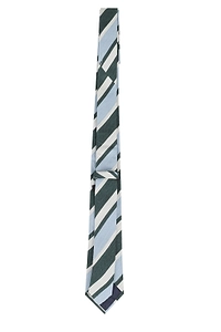 Regimental Silk Tie