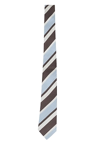 Regimental Silk Tie