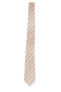 Cpet 16 Striped Tie