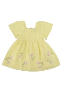 Robei Embroidered Dress