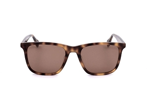 Ted Baker Square Frame Full Rim Sunglasses