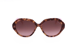 Ted Baker Tb1731 Oversized Sunglasses