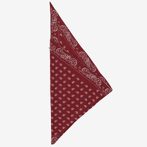 Guest In Residence Reversible Paisley Scarf