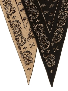 The Wild Rag Paisley Scarf