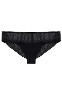 Sheer Brazilian Briefs