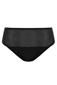 Sheer Panel Bikini Briefs