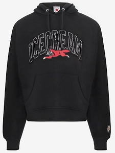 Icecream Graphic Logo Hoodies