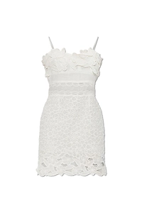 Reola Floral Lace Mini Dress
