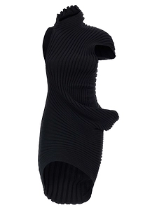 Issey Miyake High-Neck Ribbed Dress