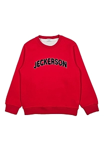Long Sleeve Crewneck Sweatshirt