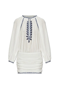 Ludy Embroidered Mini Dress
