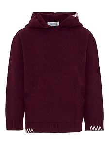 Laneus Long-Sleeved Embroidered Hoodie