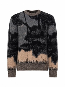Printed Crewneck Jumper