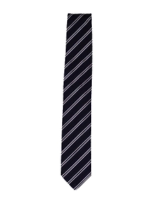 Lardini Striped Tie