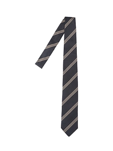 Lardini Striped Tie