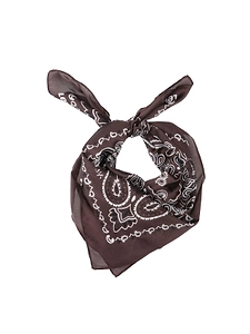 Levi's Paisley Bandana Scarf