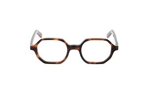 Zanzibar Geometric Frame Glasses