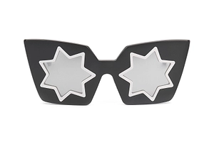 Linda Farrow X Markus Lupfer Special Edition Sunglasses
