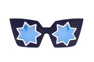 Linda Farrow X Markus Lupfer Star Cat-Eye Frame Sunglasses