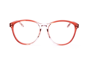 Linda Farrow X Matthew Williamson Panthos Frame Glasses