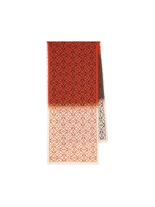 Loewe Gradient Effect Scarf