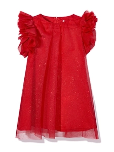 Shimmering Ruffled Dress