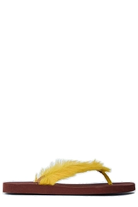 Marni Feather Embellished Sandals