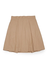 Pleated High-Waist Knee-Length Skirt
