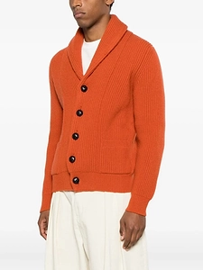 Shawl Collar Buttoned Cardigan
