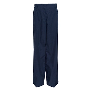 Pleated Pants