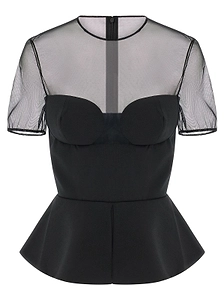 Sheer Mesh Structured Bustier Top