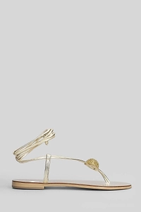 Nicolas Lainas Embellished Flat Sandals