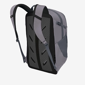 Axis Daypack Backpack