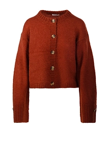 Cierrou Cropped Cardigan
