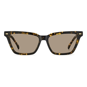 Carrera Cat-Eye Acetate Sunglasses