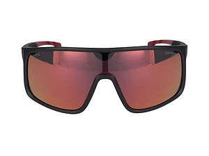 Carrera Ducati Shield Sunglasses