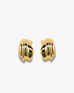 Sculptural Earrings