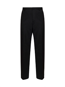Costumein Alain Tailored Pants