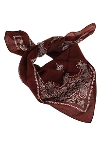 Judy Bandana-Print Scarf