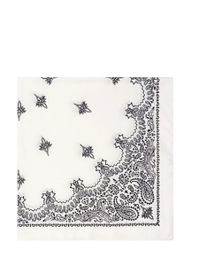 Destin Judy Bandana Print Scarf