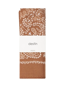 Destin Judy Bandana Print Scarf