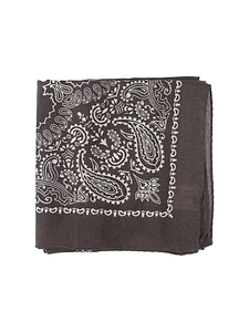 Judy Paisley Square Scarf