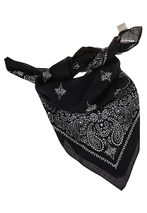 Destin Judy Paisley Bandana Scarf