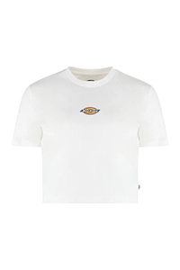 Dickies Maple Valley Graphic Stretch T-Shirt