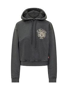 Diesel F Phoeny Graphic Hoodie