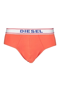 Diesel Logo Waistband Briefs
