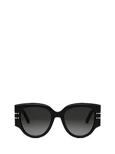 Diorsignature R 2 I Sunglasses