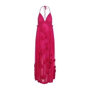 Drina AppliquÉD Maxi Dress